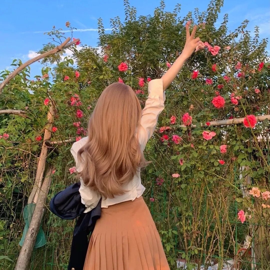 宝石宠物 国语版