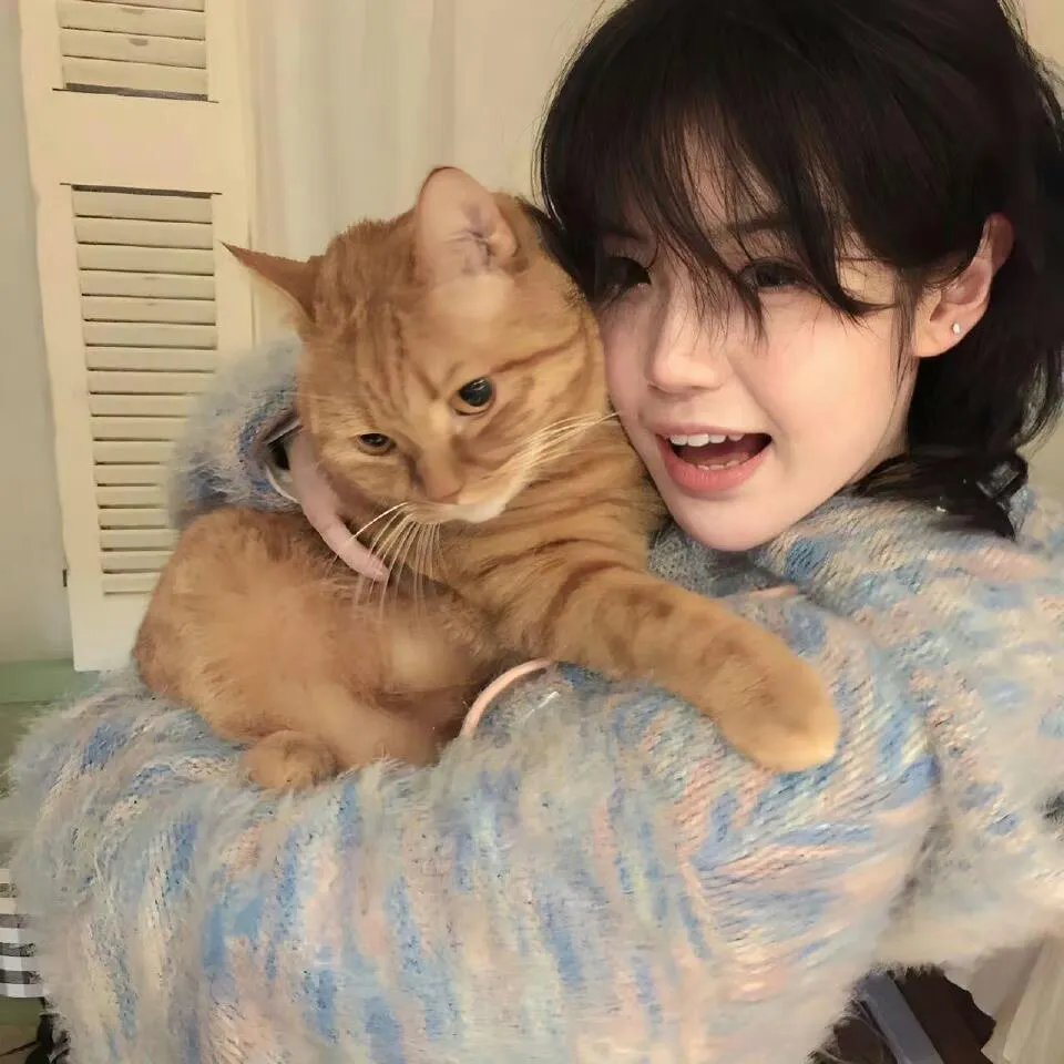 别惹盛少的心尖宠